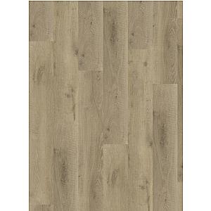 Rigid Core XL 8901 Callisto Smoked Light