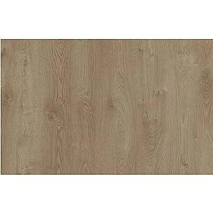 Elbruz- Inc. Leggen + Plinten