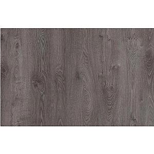 Toros- Inc. Leggen + Plinten